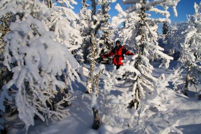 post-4016-0-49713900-1389546740_thumb.jp