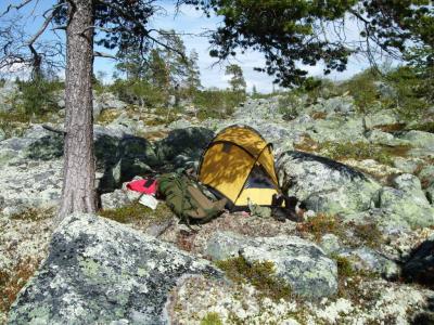 post-4016-0-64677700-1389991789_thumb.jp