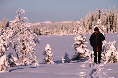 post-4016-0-86554100-1389546737_thumb.jp