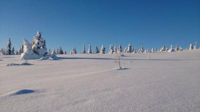 post-4117-0-59192900-1389606982_thumb.jp