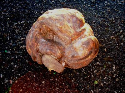 post-4220-0-66142500-1389546140_thumb.jp