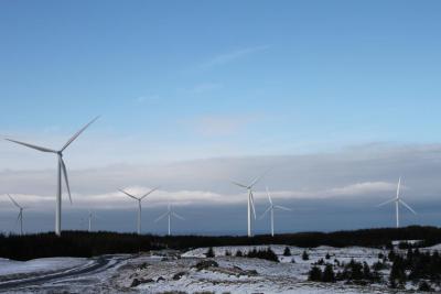 post-4220-0-90489500-1390776450_thumb.jp