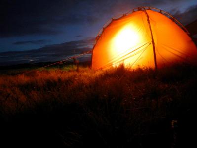 post-9775-0-04943900-1390812494_thumb.jp