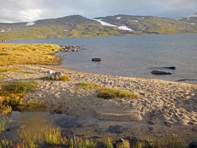 post-9775-0-27473900-1390812466_thumb.jp