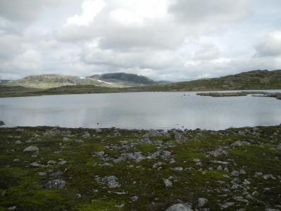 post-9775-0-35295500-1390812437_thumb.jp