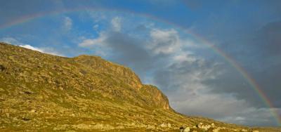 post-9775-0-72234400-1390812484_thumb.jp