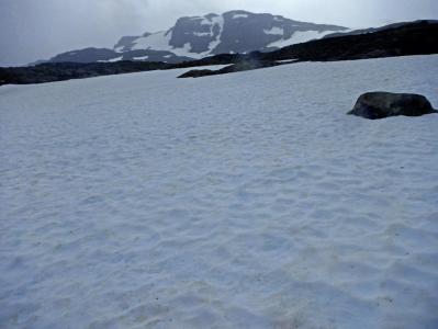 post-9775-0-75392300-1390812476_thumb.jp