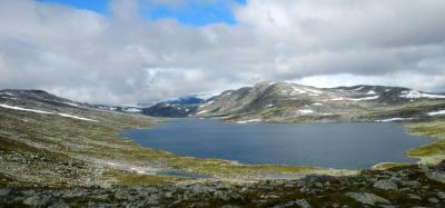 post-9775-0-79668000-1390812442_thumb.jp