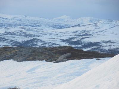 post-10226-0-73094400-1420141317_thumb.j