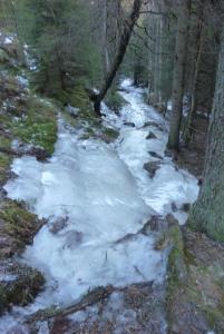 post-12580-0-01473800-1420831140_thumb.j