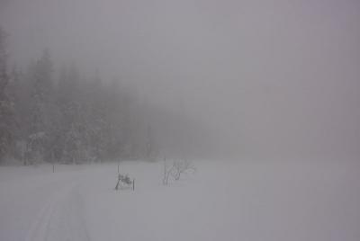 post-12580-0-38863200-1422134154_thumb.j