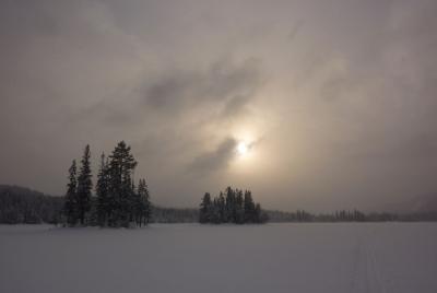 post-12580-0-43563800-1422730637_thumb.j