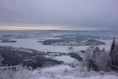 post-12580-0-66783900-1420830469_thumb.j