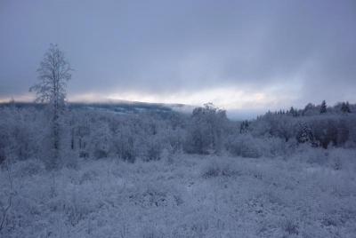 post-12580-0-82983700-1420929848_thumb.j