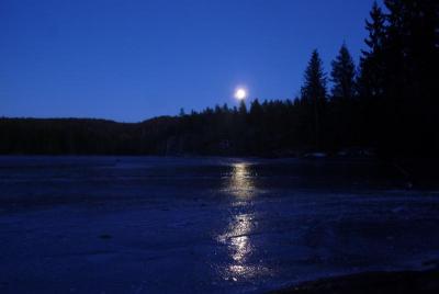 post-12580-0-85191000-1420831260_thumb.j