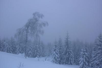 post-12580-0-91676300-1422134151_thumb.j