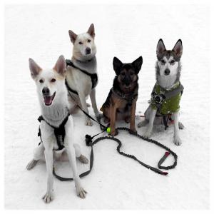 post-12621-0-74814200-1420115518_thumb.j