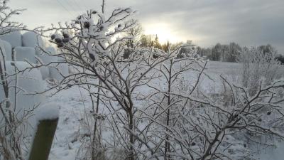 post-14793-0-36606700-1420858804_thumb.j