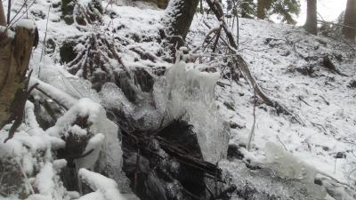 post-14793-0-75225600-1420858851_thumb.j