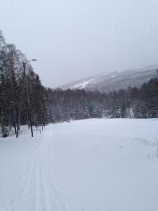 post-14924-0-15998600-1421927241_thumb.j