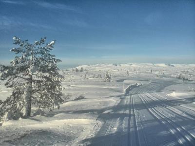 post-9055-0-19289900-1422307067_thumb.jp