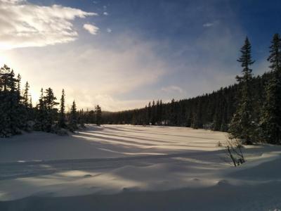 post-9055-0-79751200-1420923223_thumb.jp