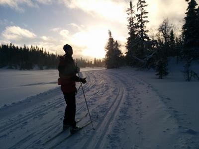 post-9055-0-93720800-1420923230_thumb.jp