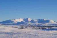 post-10401-0-34883400-1360092787_thumb.j