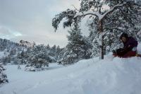 post-10401-0-38319300-1360092819_thumb.j