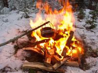 post-10401-0-49316000-1360092785_thumb.j