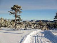 post-10401-0-78588900-1360092835_thumb.j