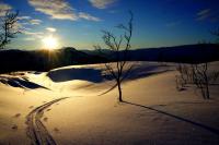 post-10401-0-84495700-1360092839_thumb.j