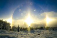 post-10401-0-87167300-1360092775_thumb.j