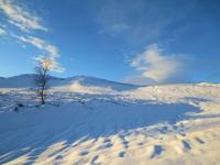 post-10401-0-93709900-1360092792_thumb.j