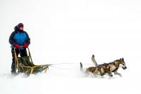 post-12207-0-20736800-1361392708_thumb.j