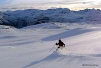 post-3112-0-92692100-1361521864_thumb.jp