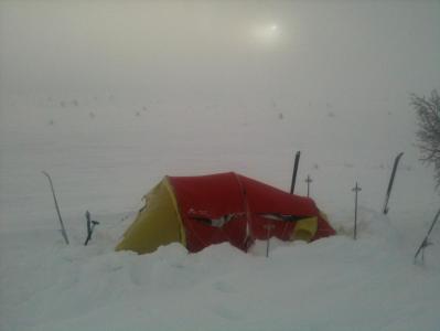 post-10393-0-39462400-1393327519_thumb.j