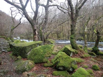 post-1073-0-15891200-1392646832_thumb.jp