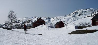 post-1073-0-45905800-1393333795_thumb.jp