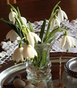 post-1073-0-90007200-1392642876_thumb.jp