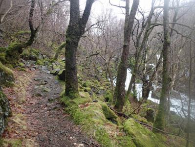 post-1073-0-99478900-1392646805_thumb.jp