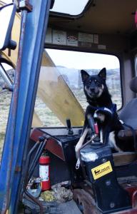 post-13043-0-01790800-1393525642_thumb.j