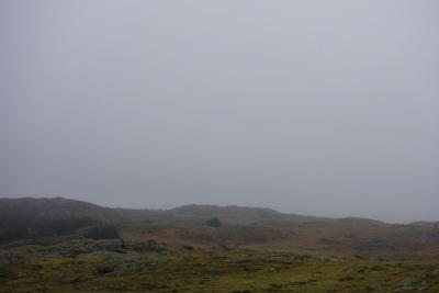 post-13043-0-37388500-1393163574_thumb.j