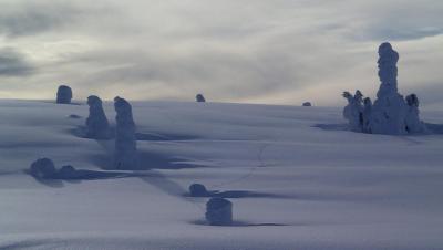 post-13144-0-01922400-1392725568_thumb.j