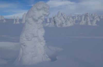 post-13144-0-45561600-1392725586_thumb.j