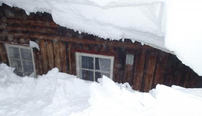 post-13144-0-49281700-1392725322_thumb.j