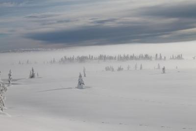 post-4016-0-38643100-1391938607_thumb.jp