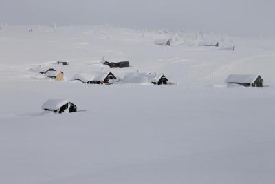 post-4016-0-85638100-1391938592_thumb.jp