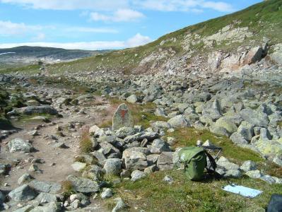 post-4117-0-74934300-1392042714_thumb.jp