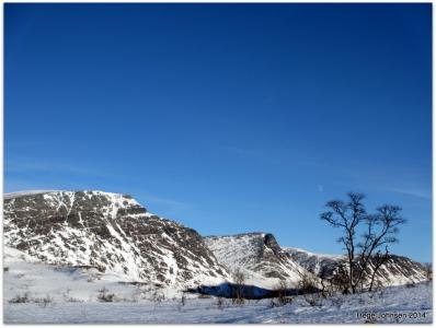 post-4444-0-20245400-1391969918_thumb.jp